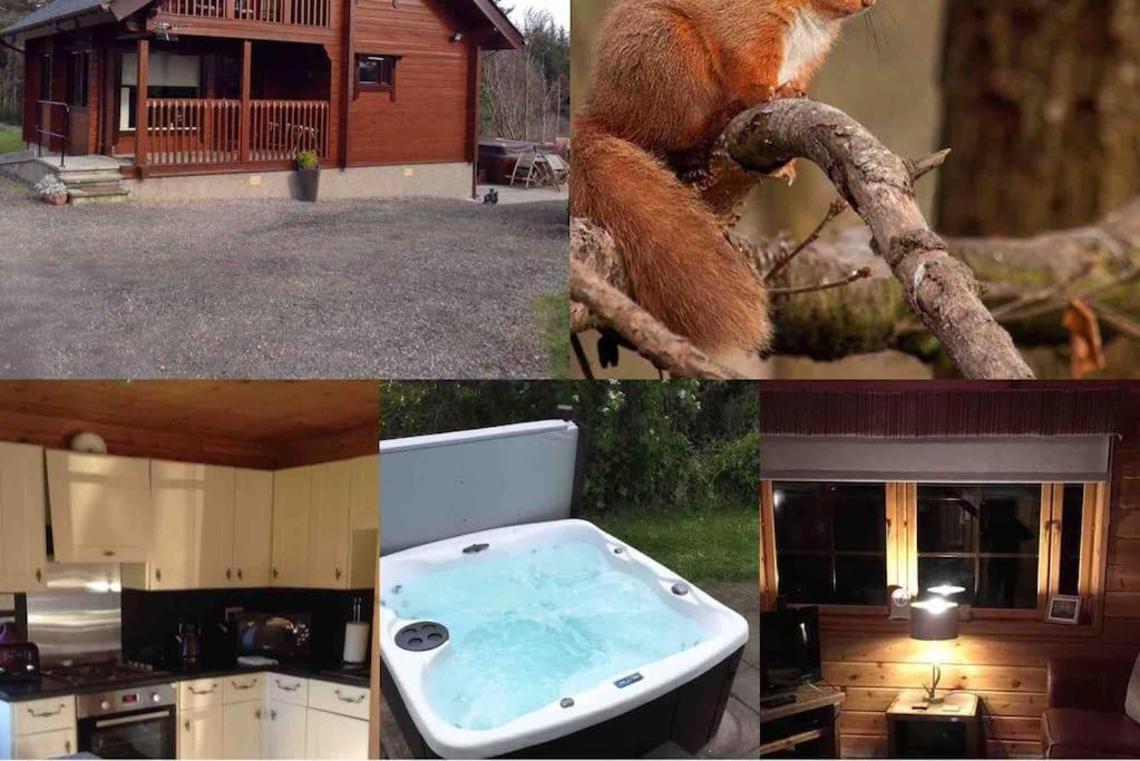 Red Squirrel Log Cabin With Hot Tub Кийт Екстериор снимка